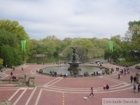 Central Park - New York